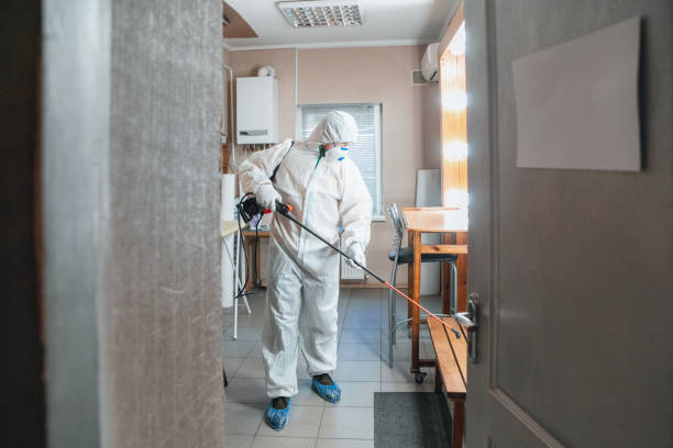 Best Water Damage & Mold Remediation  in Wanamingo, MN