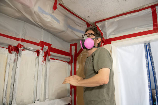 Best Mold Remediation for Healthcare Facilities  in Wanamingo, MN