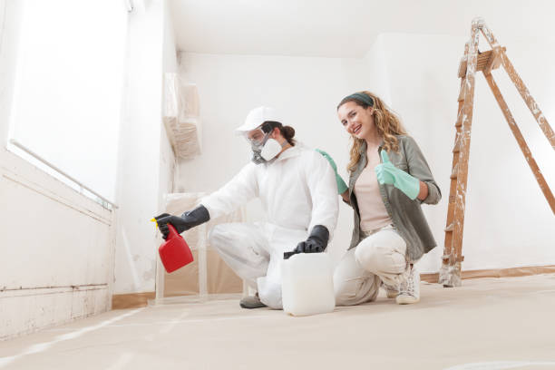 Best Industrial Mold Remediation  in Wanamingo, MN
